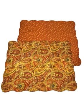 VTG Paisley Floral Quilted Pillow Shams 2 PCs Standard Cotton Cottage Farm